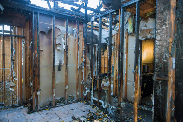 Professional Smoke Damage Removal technician working in Hico, TX